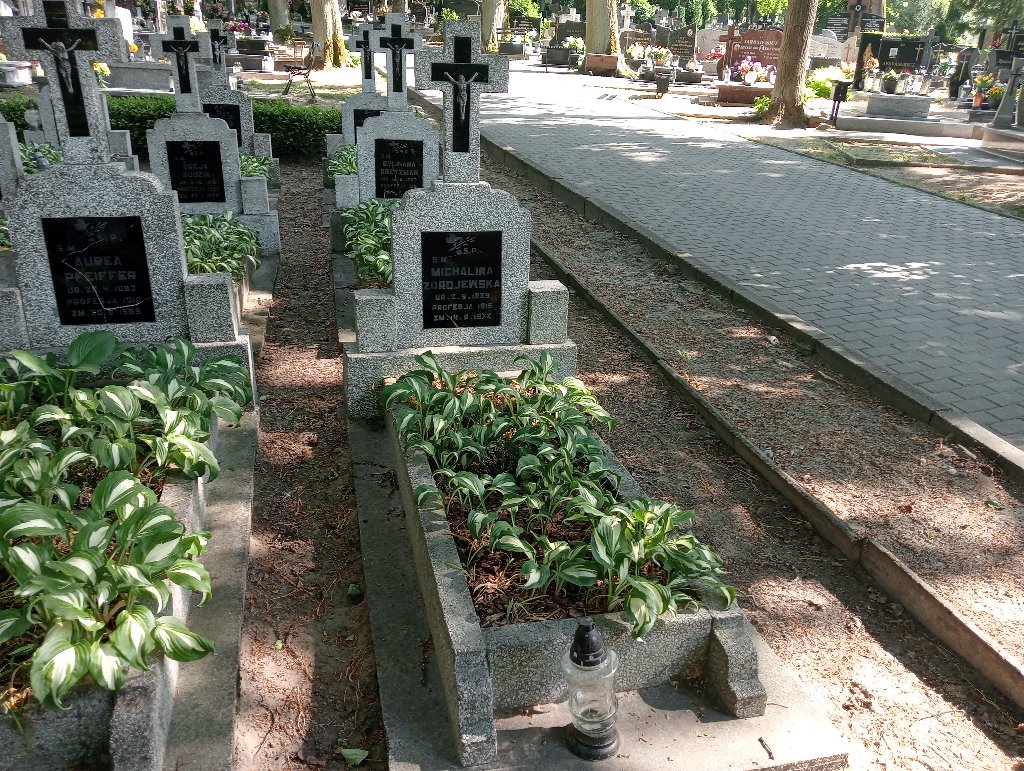 Grób Maria Michalina  Zdrojewska