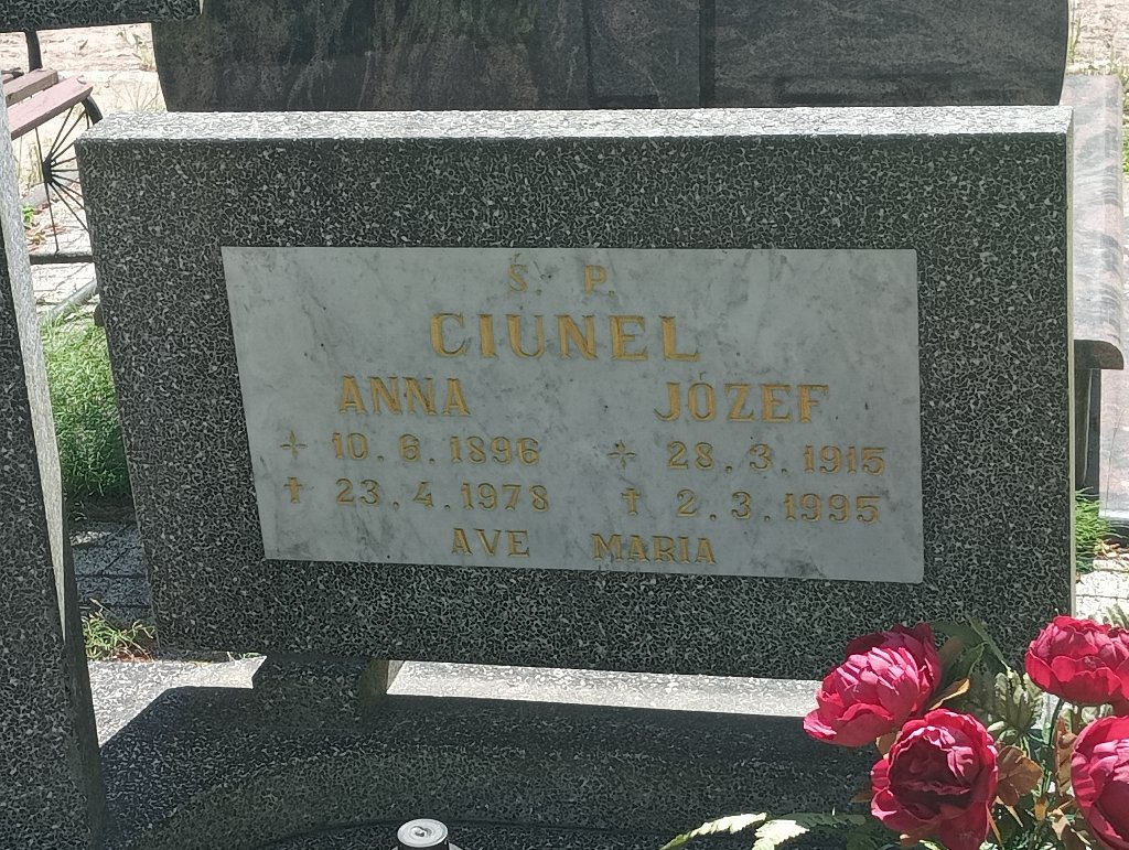 Józef Ciunel 1915 Lidzbark Warmiński - Grobonet - Wyszukiwarka osób pochowanych