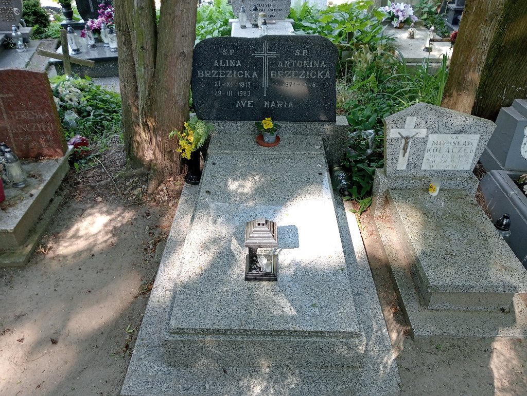 Grób Antonina  Brzezińska