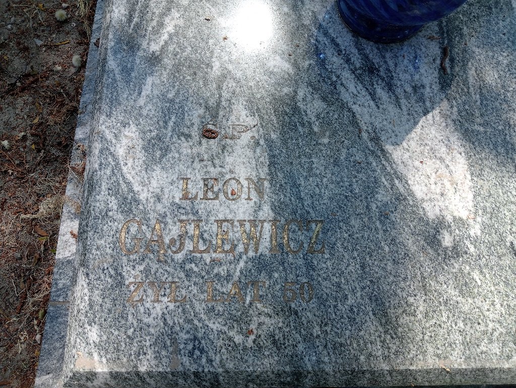 Leon Gajlewicz 1918 Lidzbark Warmiński - Grobonet - Wyszukiwarka osób pochowanych