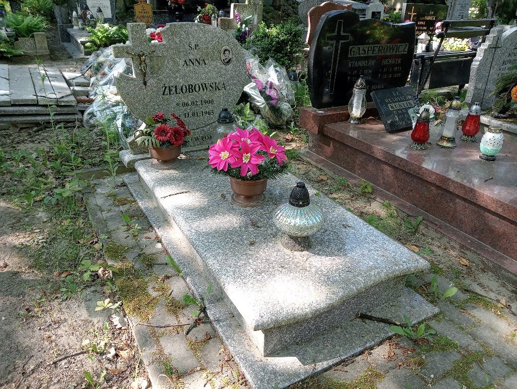 Grób Anna  Żełobowska