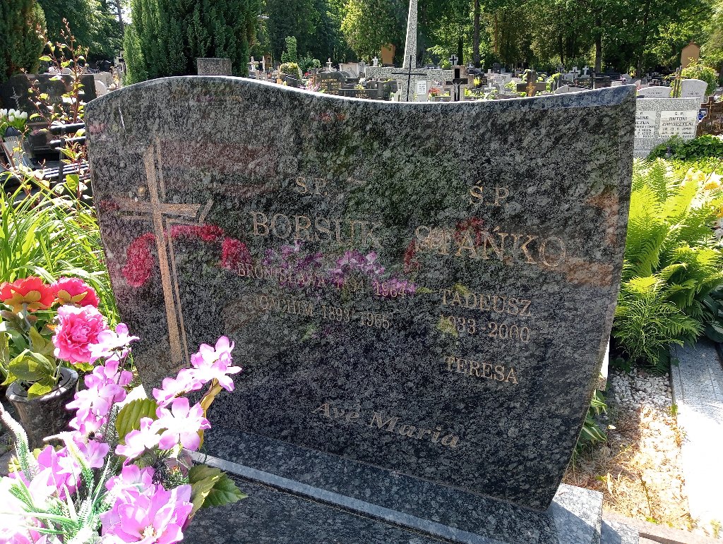Tadeusz Stańko 1933 Lidzbark Warmiński - Grobonet - Wyszukiwarka osób pochowanych