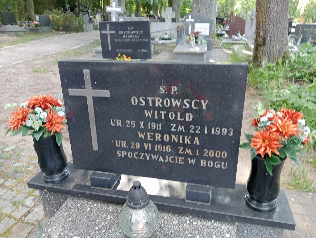 Witold Ostrowski 1911 Lidzbark Warmiński - Grobonet - Wyszukiwarka osób pochowanych