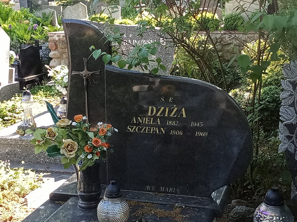 Szczepan Dziża 1906 Lidzbark Warmiński - Grobonet - Wyszukiwarka osób pochowanych