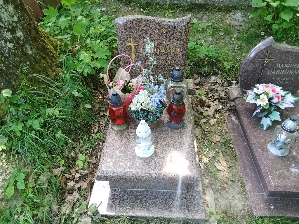 Grób Laura  Łazowska