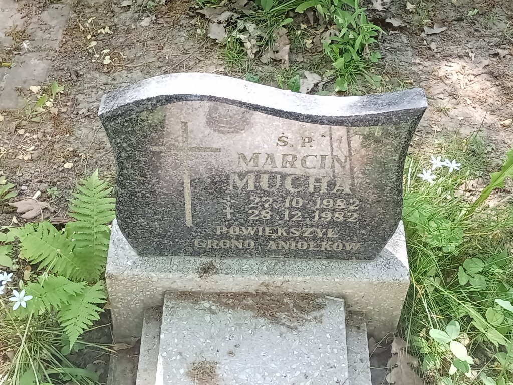 Marcin Mucha 1982 Lidzbark Warmiński - Grobonet - Wyszukiwarka osób pochowanych