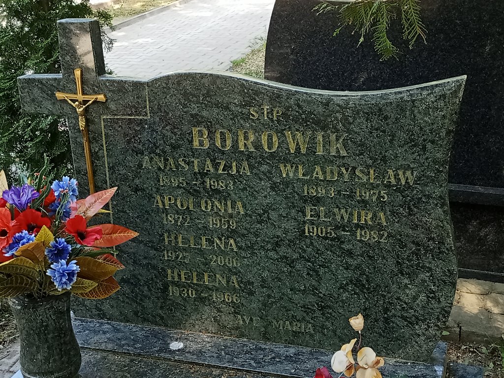 Apolonia Borowik 1900 Lidzbark Warmiński - Grobonet - Wyszukiwarka osób pochowanych