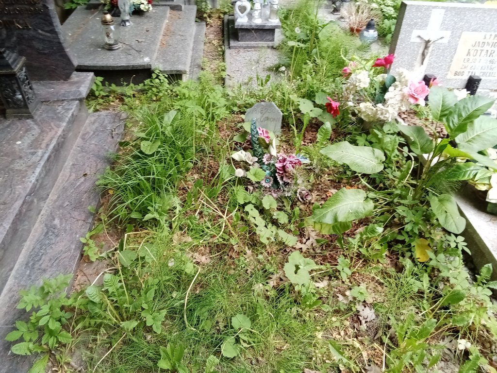  NN Lidzbark Warmiński - Grobonet - Wyszukiwarka osób pochowanych