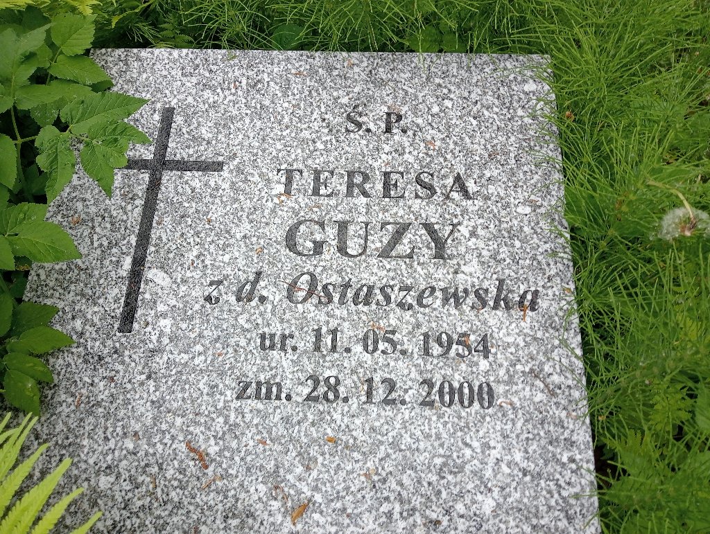 Teresa Guzy 1954 Lidzbark Warmiński - Grobonet - Wyszukiwarka osób pochowanych