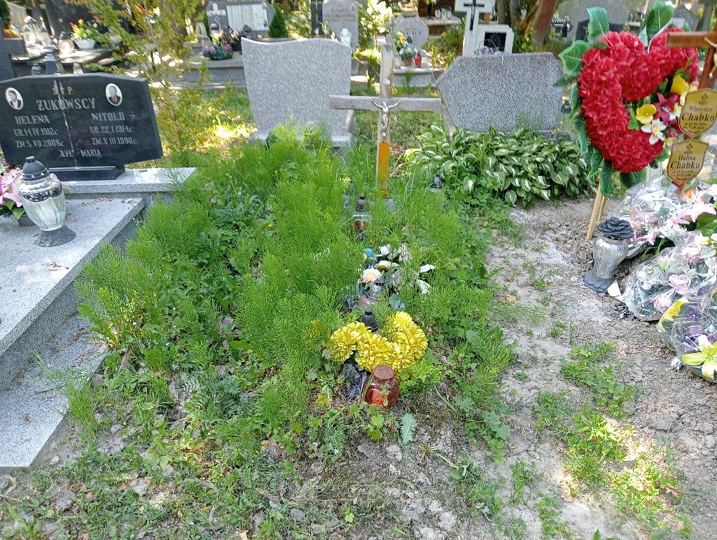 Jan Cegielski 1916 Lidzbark Warmiński - Grobonet - Wyszukiwarka osób pochowanych