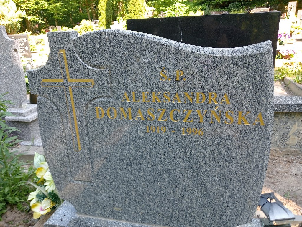 Aleksandra Domaszczyńska 1919 Lidzbark Warmiński - Grobonet - Wyszukiwarka osób pochowanych